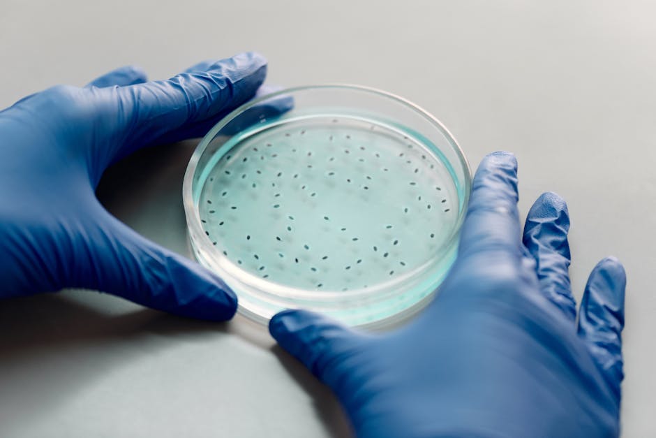 5 Cara Merawat Rangka Baja Ringan agar Tetap Kuat